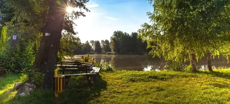 Is Blue Ash OH a Good Place to Live? Cost, Safety, and Neighborhood Guide 3 Wooden benches under trees beside a small lake in Blue Ash, Ohio, on a sunny day.